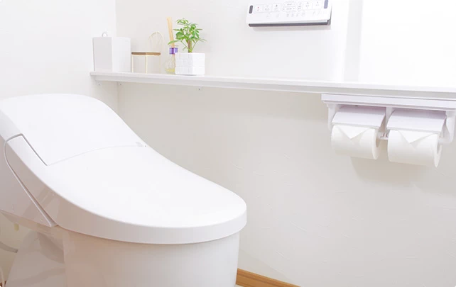 施工事例：トイレの様子